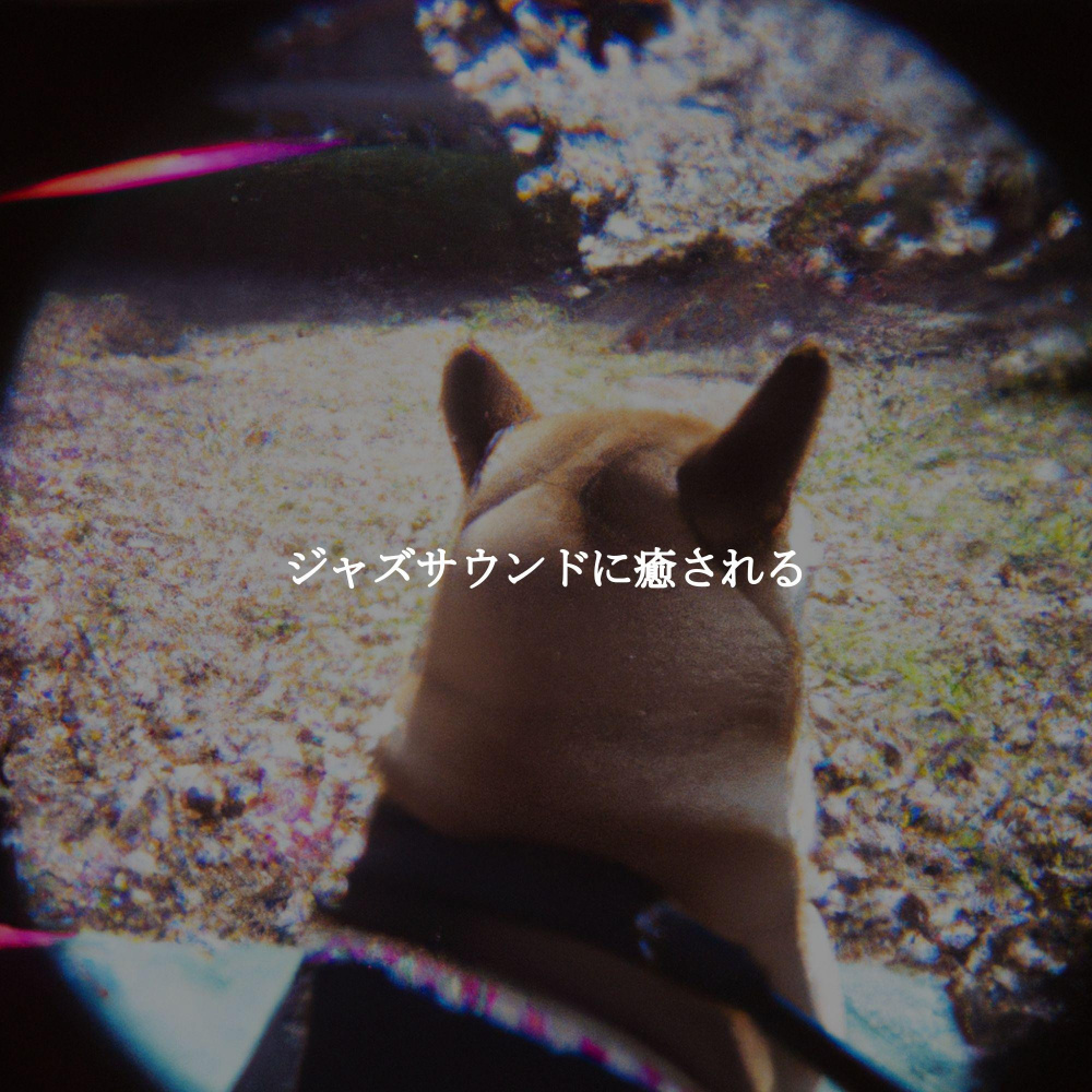 Sublime Ambiance for Leisurely Dogs