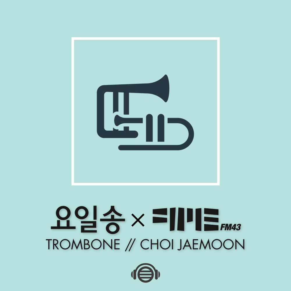 수요일