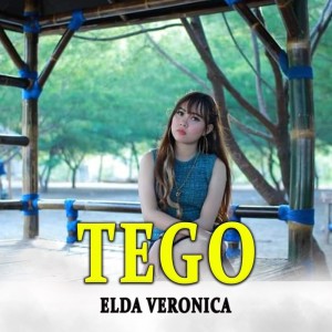 收听Elda Veronica的Tego歌词歌曲