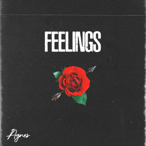 Agnes的专辑Feelings (Explicit)