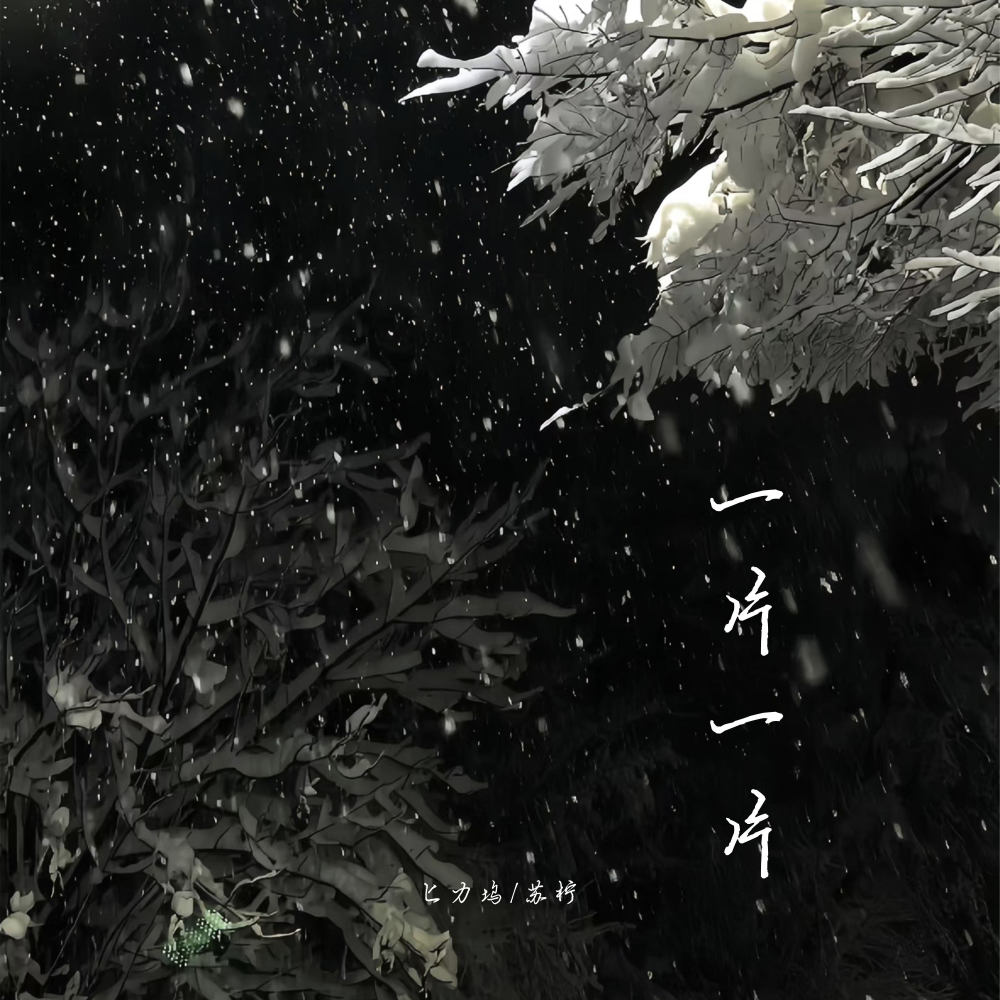 一片一片 (伴奏)