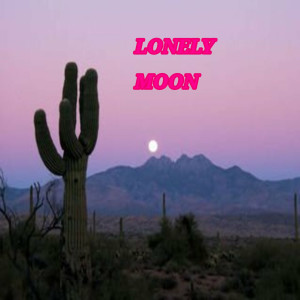 Listen to Lonely Moon song with lyrics from David Pitts