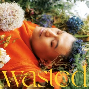 ดาวน์โหลดและฟังเพลง Wasted พร้อมเนื้อเพลงจาก lewloh