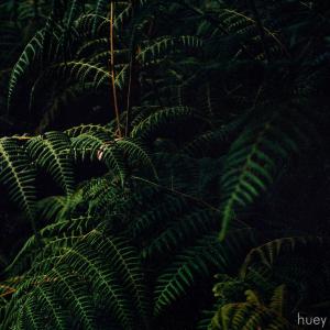 Huey的專輯jungles