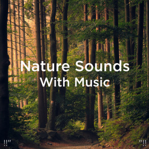 Yoga的專輯!!" Nature Sounds With Music "!!