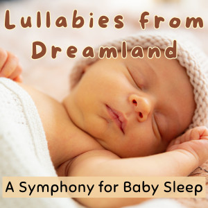 Latin Chill Out的專輯Lullabies from Dreamland: A Symphony for Baby Sleep