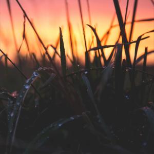 ดาวน์โหลดและฟังเพลง Sunset พร้อมเนื้อเพลงจาก Damien Jeunet