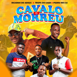 ดาวน์โหลดและฟังเพลง O Cavalo Morreu พร้อมเนื้อเพลงจาก Ricardo do Adoço