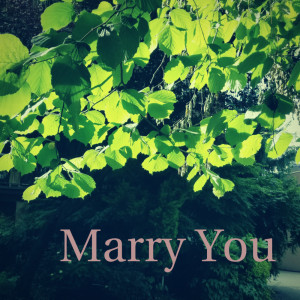 收聽Chrissy J.的Marry You歌詞歌曲