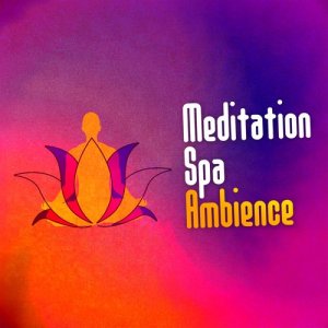 Deep Sleep Meditation的專輯Meditation Spa Ambience