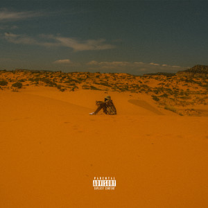Listen to Peace of Mind (Explicit) song with lyrics from Olumide