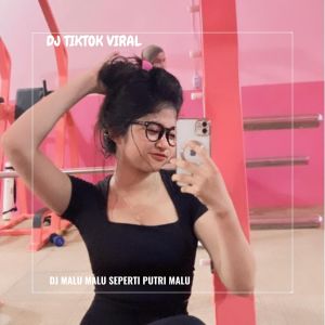 Album DJ MALU MALU SEPERTI PUTRI MALU oleh Dj TikTok Viral