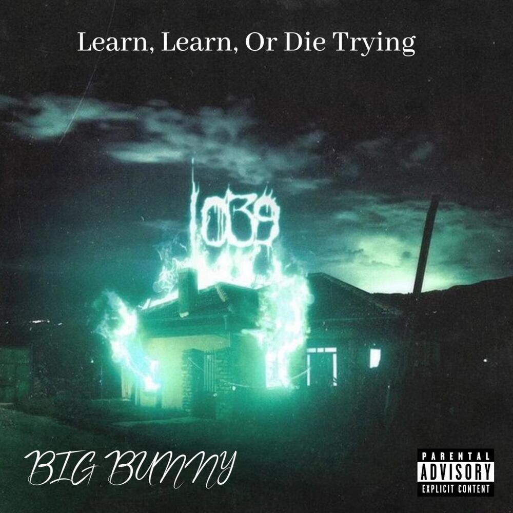 Learn, Learn, Or Die Trying (Explicit)