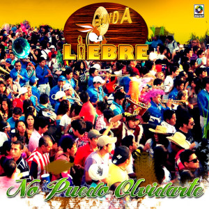 ดาวน์โหลดและฟังเพลง Hoy Te Confieso พร้อมเนื้อเพลงจาก Banda Liebre