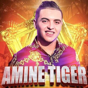 Album A3titak Galbi from Cheb Amine Tigre