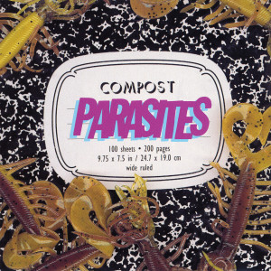 收聽Parasites的Stay Awile歌詞歌曲