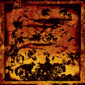 收聽Hassan Abou Alam的Basha歌詞歌曲