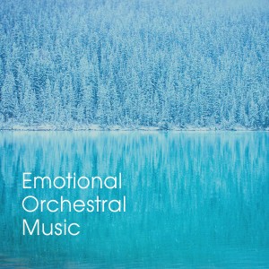 อัลบัม Emotional Orchestral Music ศิลปิน Various Artists