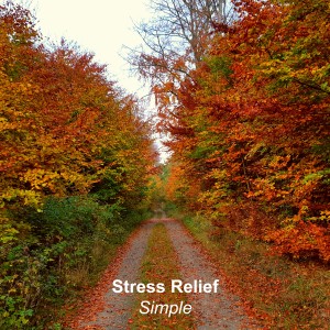 收聽Stress Relief的Dancing on a Line歌詞歌曲