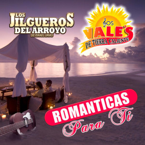 Los Jilgueros Del Arroyo的專輯Románticas Para Ti