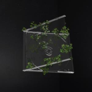 อัลบัม Just An Album (Explicit) ศิลปิน just John