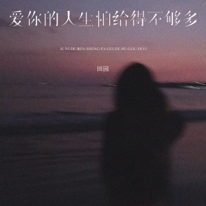 Album 爱你的人生怕给得不够多 oleh 田园