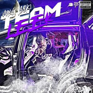 收聽Yung Leek的Team Leek (Explicit)歌詞歌曲