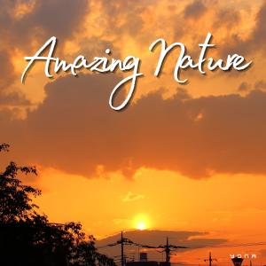 Album Amazing Nature from 
