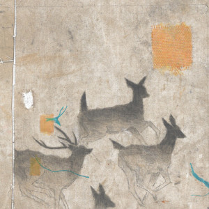 Album Deer Trails from Daniel Nunnelee