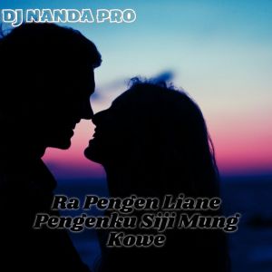 Listen to Ra Pengen Liane Pengenku Siji Mung Kowe song with lyrics from DJ Nanda Pro
