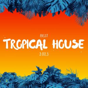 Best Tropical House 2023 dari Various