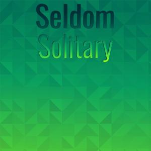 Various的专辑Seldom Solitary