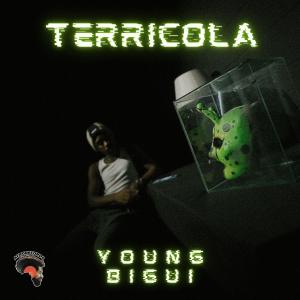 收聽Young Bigui的Terricola (Explicit)歌詞歌曲