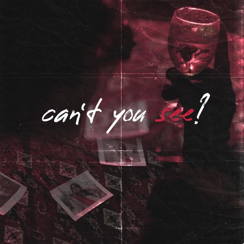 can't you see? (feat. danish roomi & SAZGIR)