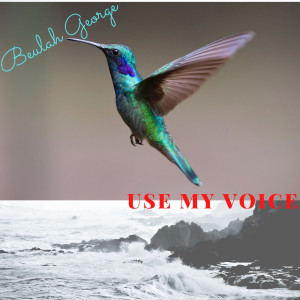 ดาวน์โหลดและฟังเพลง Use My Voice พร้อมเนื้อเพลงจาก Beulah George