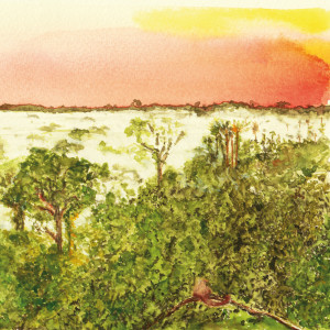 Album Inspirando a Ilusão from Daniel Villa Verde