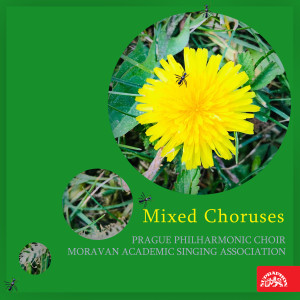 Dengarkan lagu September. Mixed Chorus nyanyian Věra Hubáčková dengan lirik