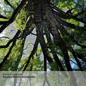 ดาวน์โหลดและฟังเพลง Keep It On the Inside พร้อมเนื้อเพลงจาก Josh Preston
