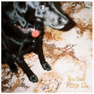 收聽Neive Strang的Paradigm歌詞歌曲