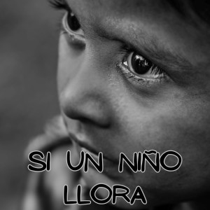收聽Congregación María de Jesús的Si un Niño Llora歌詞歌曲