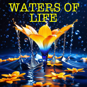 Casey Adams的专辑Waters of Life