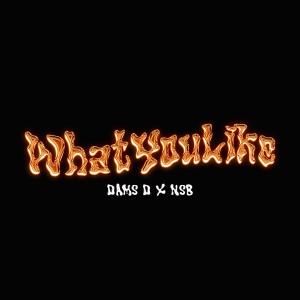 NSB的專輯WhatYouLike (feat. NSB) [Explicit]
