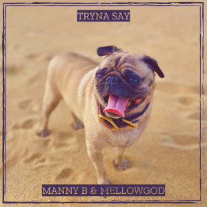 Listen to Tryna Say (Explicit) song with lyrics from Manny B