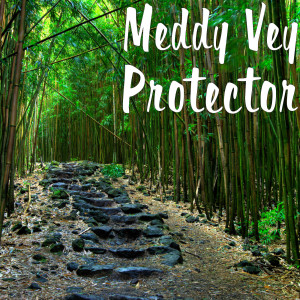 ดาวน์โหลดและฟังเพลง Protector พร้อมเนื้อเพลงจาก Meddy Vey