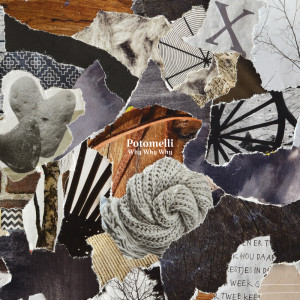 Album Why Why Why from Potomelli