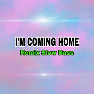 ดาวน์โหลดและฟังเพลง I'm Coming Home (Remix) พร้อมเนื้อเพลงจาก Dj Saputra