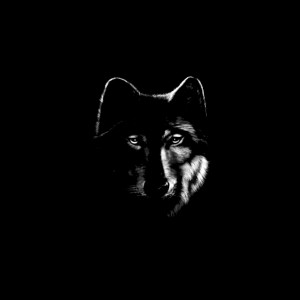 Listen to FADE (Live - 2020) song with lyrics from WOLFKID
