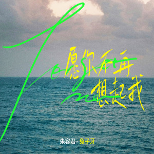 兔子牙的专辑愿你不再想起我