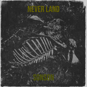 Album Never Land (Explicit) from Sonson