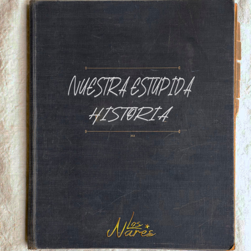 Nuestra Estúpida Historia